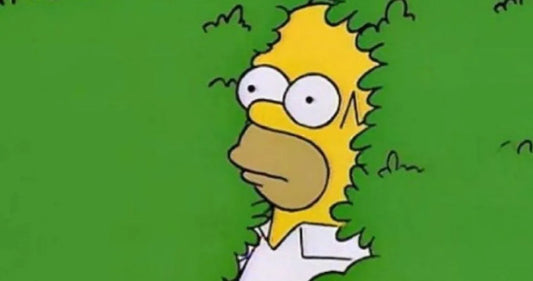 Memes de los Simpson: Conoce los más graciosos en Español